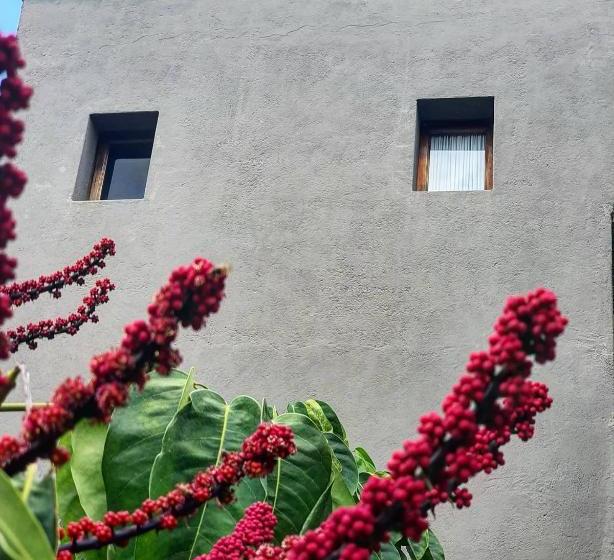 Fotos del hotel Casa Tierra Negra:  11