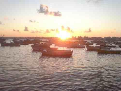 Fotos del hotel Philip House:  14