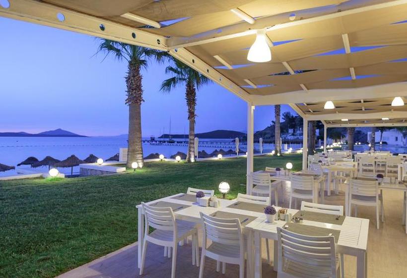 Fotos del hotel Club Sardunya:  3