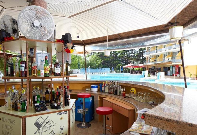 Fotos del hotel Yantra:  7