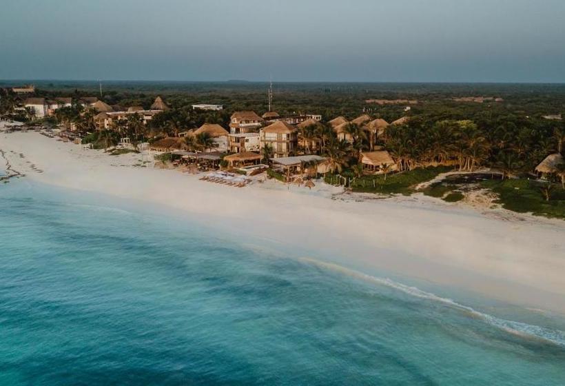 Fotos del hotel Akkuun Tulum - Adults Only:  10