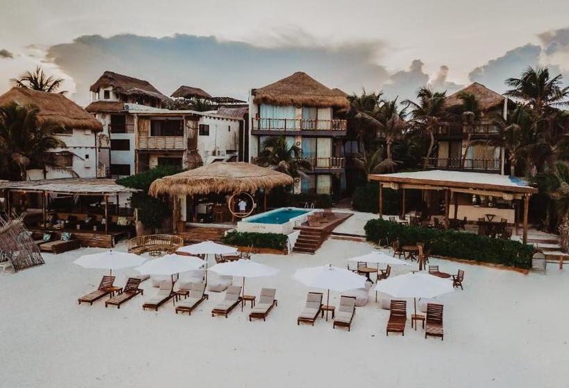 Fotos del hotel Akkuun Tulum - Adults Only:  12