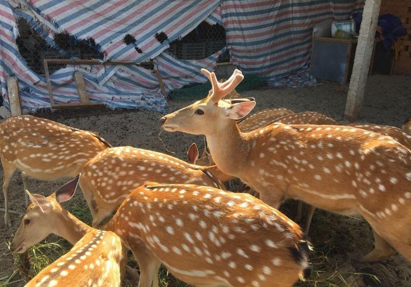 Fotos del hotel Hodota Resort Center:  6