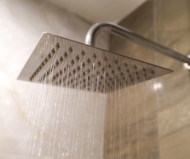 Fotos del hotel Ritzton:  5