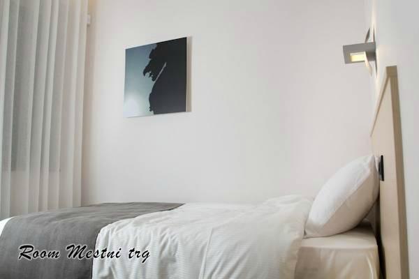 Fotos del hotel Urban Homy Ljubljana:  8