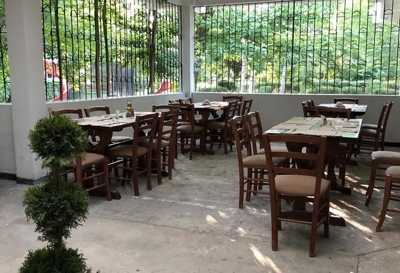 Fotos del hotel Semiramis:  14