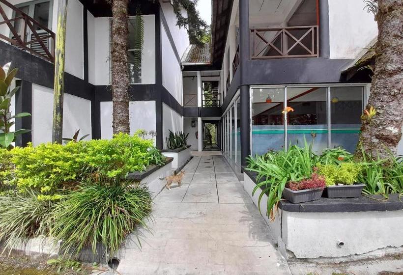 Fotos del hotel The Cool Point:  11