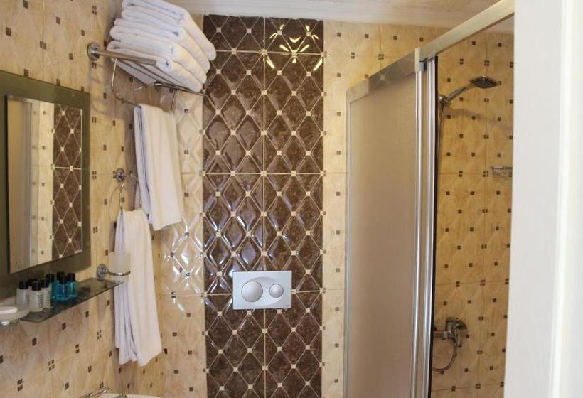 Fotos del hotel Omega Inn:  11