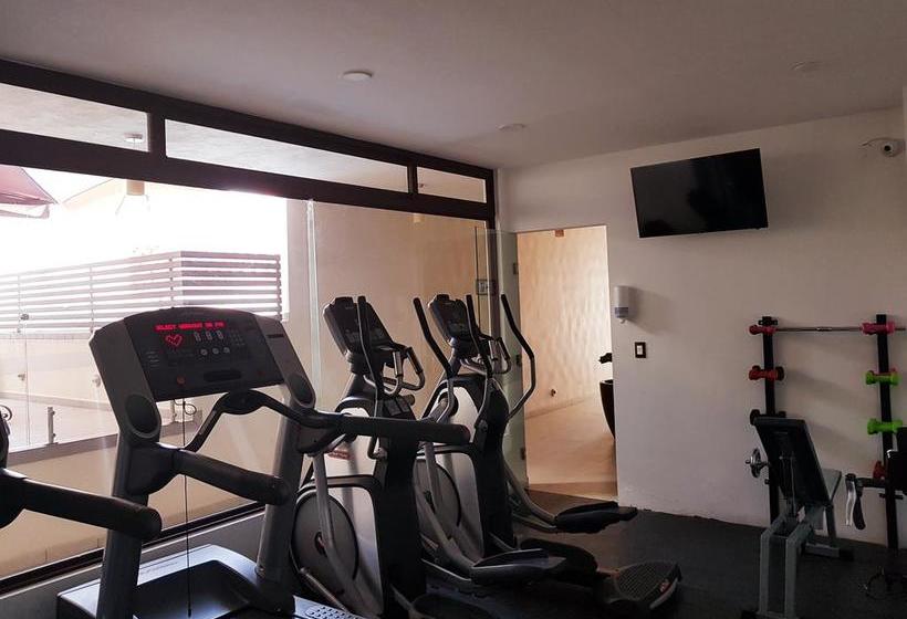 Fotos del hotel La Casa de los Dos Leones:  11