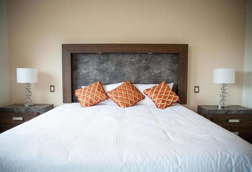 Fotos del hotel Tres Soles Apartments:  3