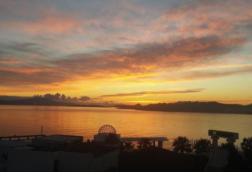 Fotos del hotel Angora:  10