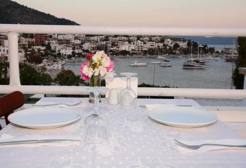 Fotos del hotel Angora:  8