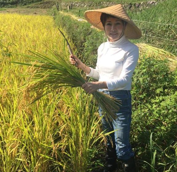 Fotos del hotel Dan Lan  Nijo Kyokomachi:  12