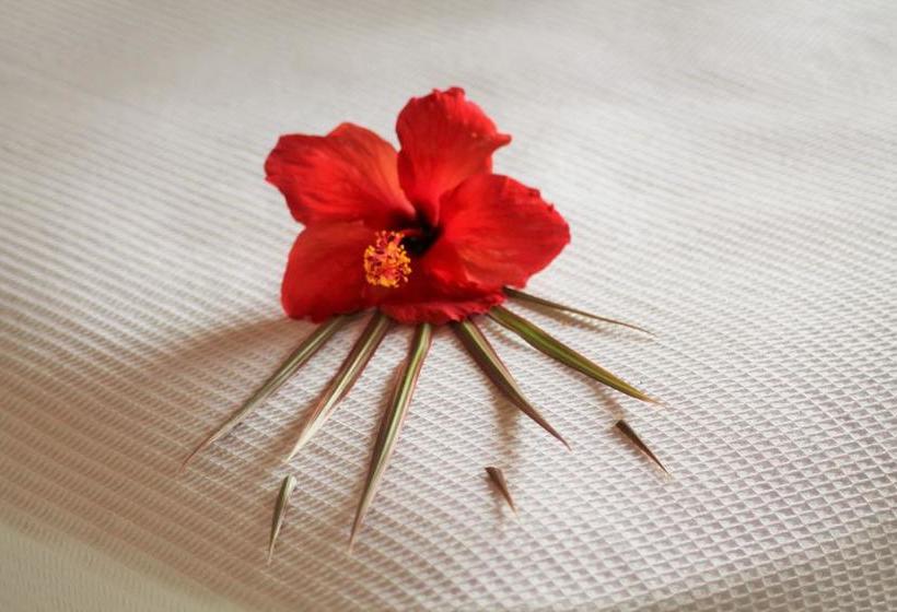 Fotos del hotel Maya Hotel Residence:  4