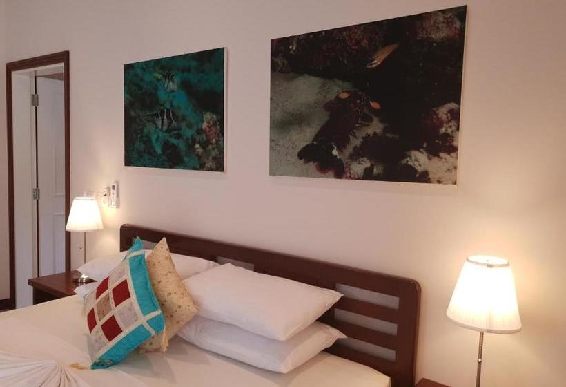 Cote D’or Footprints