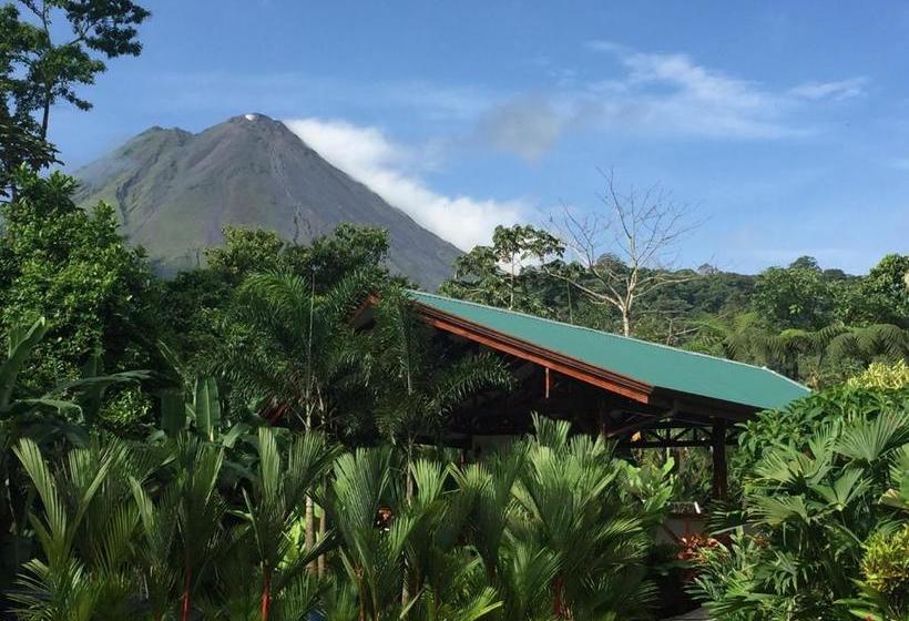 Fotos del hotel Mussaenda, Arenal:  6
