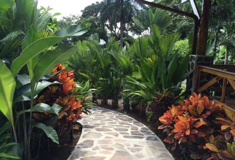 Fotos del hotel Mussaenda, Arenal:  11