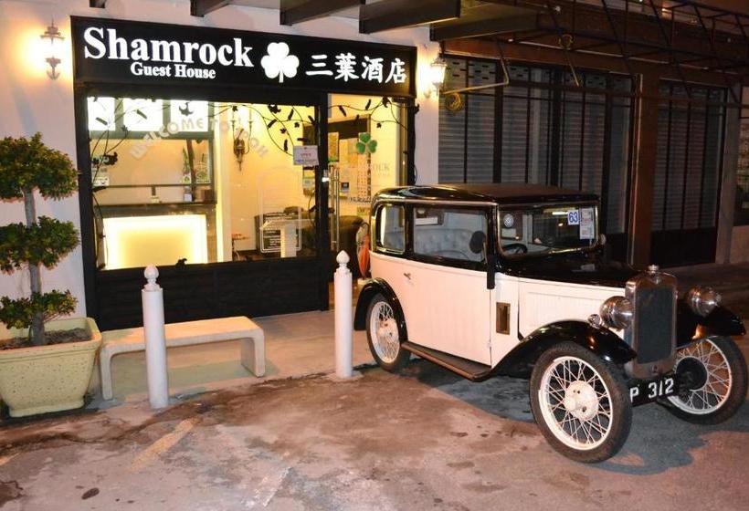 Fotos del hotel Shamrock Guest House:  6