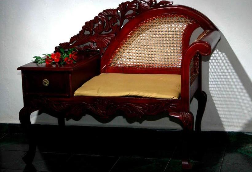 Fotos del hotel Green Forest:  4