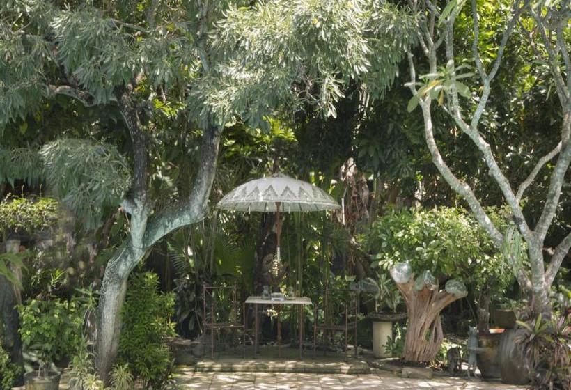 Fotos del hotel Citrus Tree Villas - Layla:  18