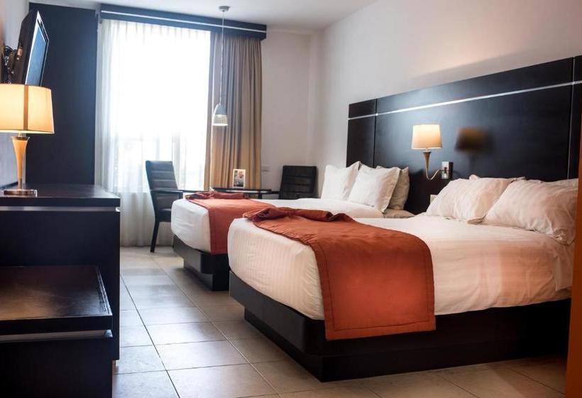 Fotos del hotel Oliba:  2