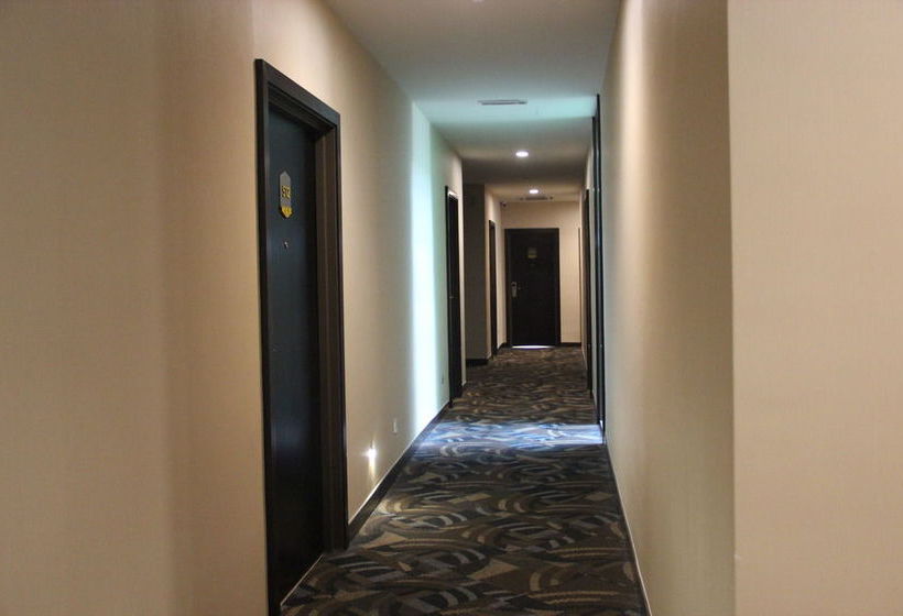 Fotos del hotel Memoire Hornbill:  11