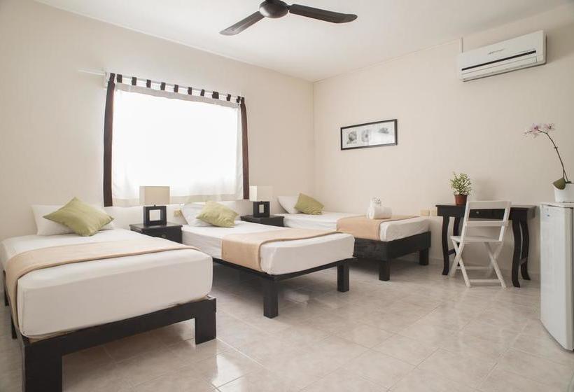 Fotos del hotel Wabi Hotel:  5