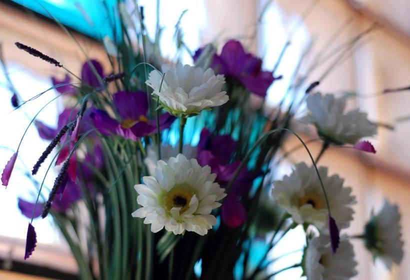 Fotos del hotel Arizona Sarajevo:  6