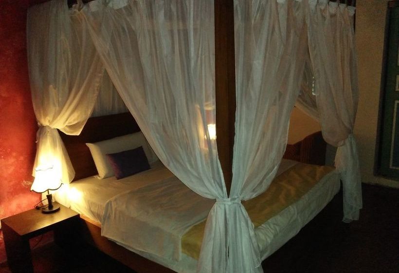 Fotos del hotel Lang Hoose:  9