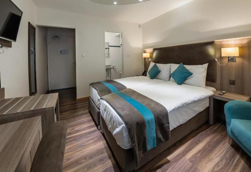 Fotos del hotel Rousseau:  18