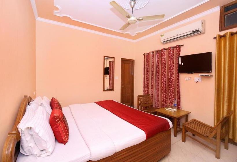 Fotos del hotel Oyo 10539 Hotel Holiday Classic:  15