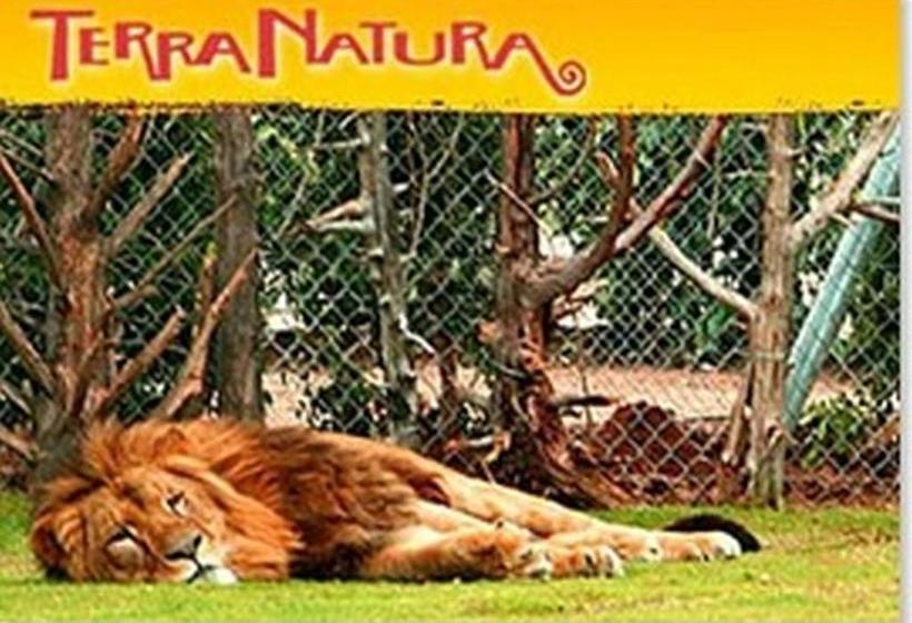 Fotos del hotel Sucina:  12