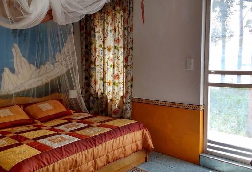 Fotos del hotel Termas Da Azenha:  6