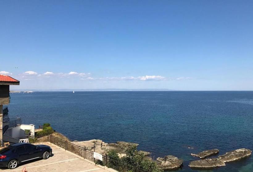 Fotos del hotel Melia Mar:  8