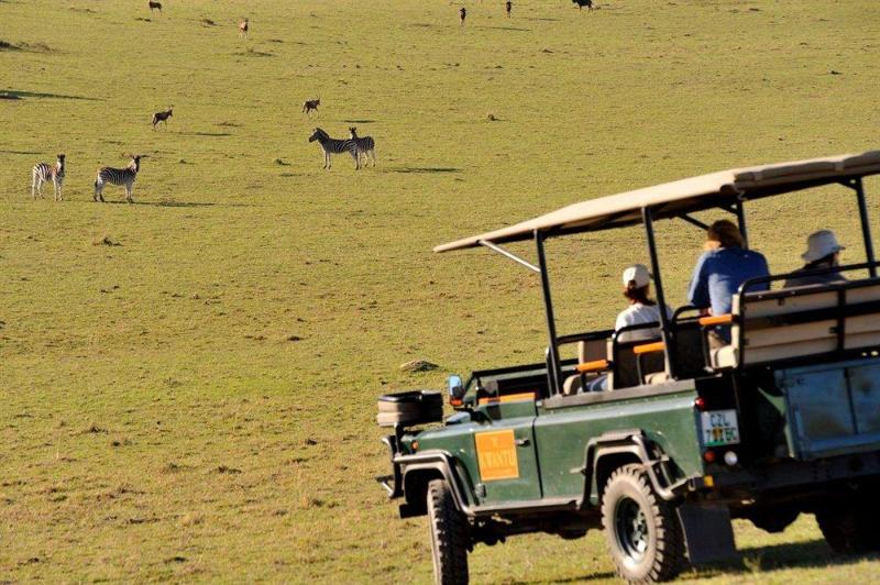 Fotos del hotel Kwantu Lions View Villa:  8