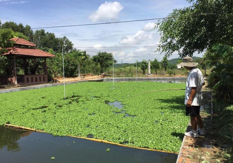 Fotos del hotel Huong Tuan Farmstay:  10