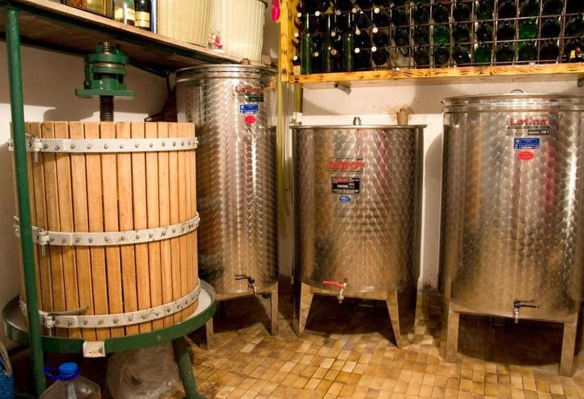 Fotos del hotel Villa Top:  25