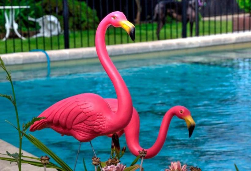 Fotos del hotel Kerry Lodge Bed & Breakfast:  12