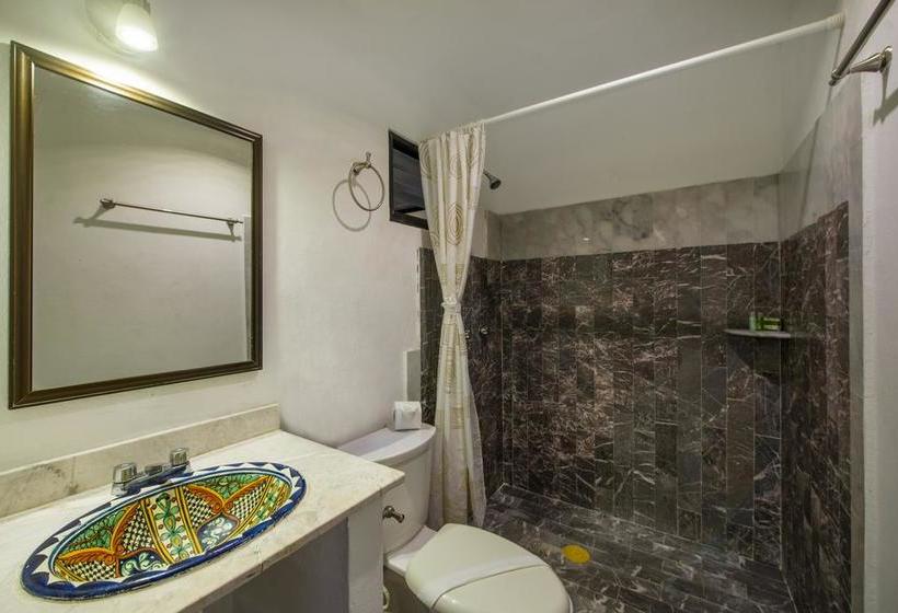 Fotos del hotel Caracol Suite:  14