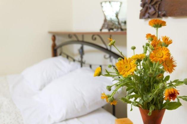 Fotos del hotel Villa Allegra:  12