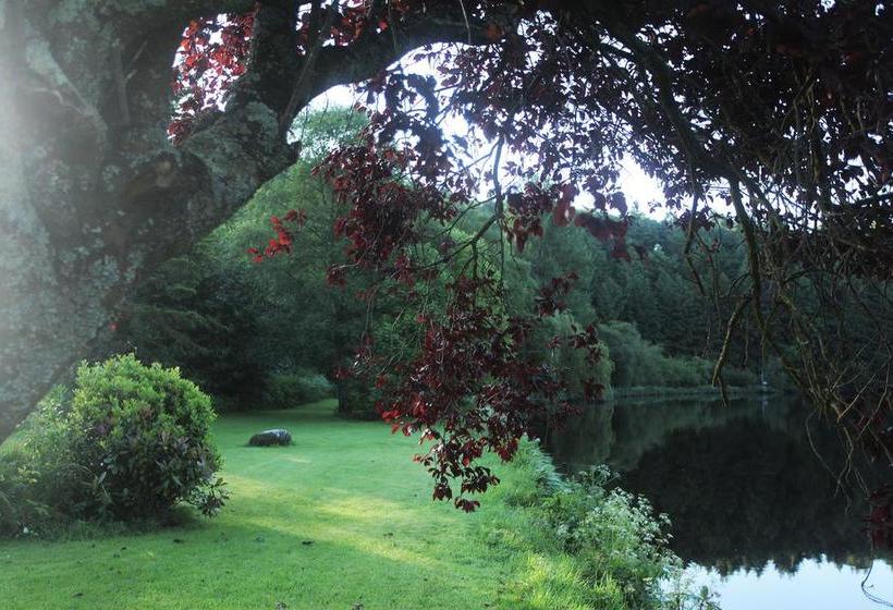 Fotos del hotel Mulvarra House:  15