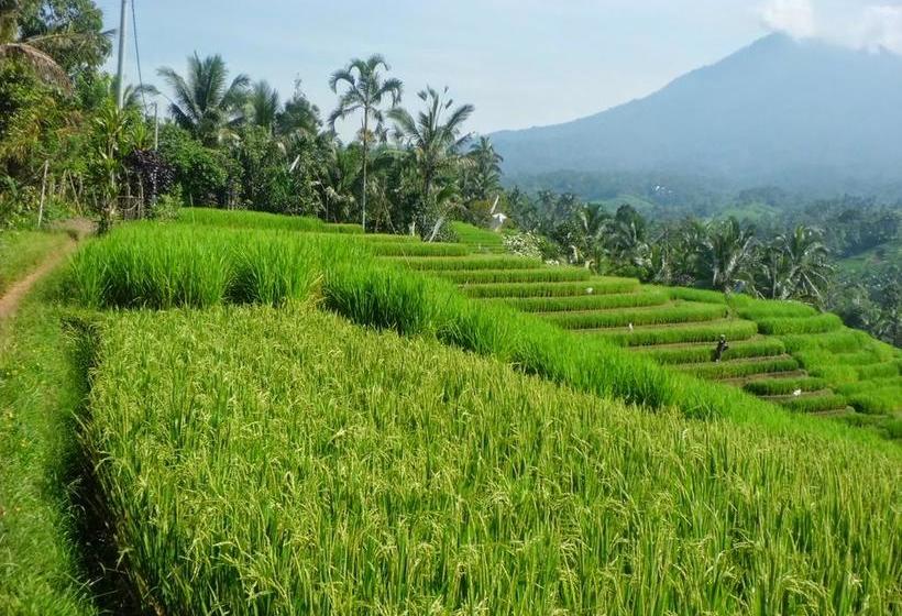 Fotos del hotel Zen Rooms Kuta Jenggala Beach:  22