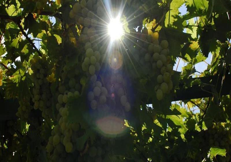 Fotos del hotel Casa Di Oliveto:  7