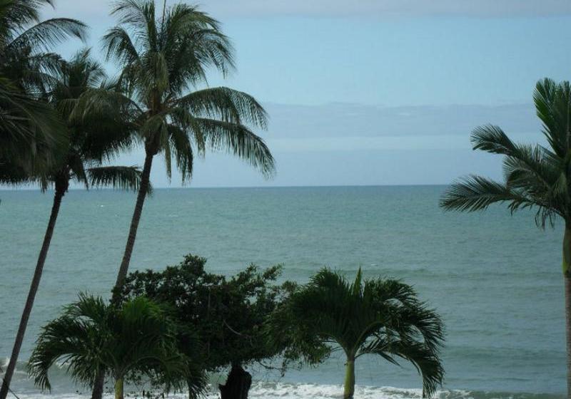 Fotos del hotel Turtle Cove Beach Resort:  8