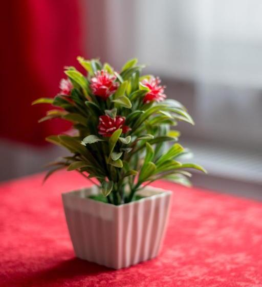 Fotos del hotel Fantastik Apartments:  12