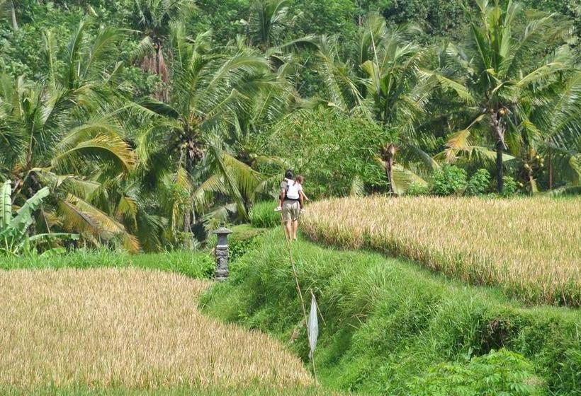 Fotos del hotel Omah Apik:  21