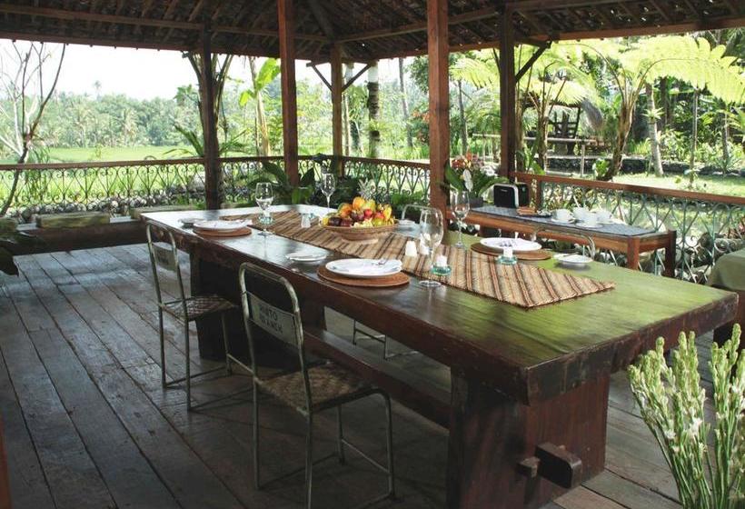 Fotos del hotel Omah Apik:  18