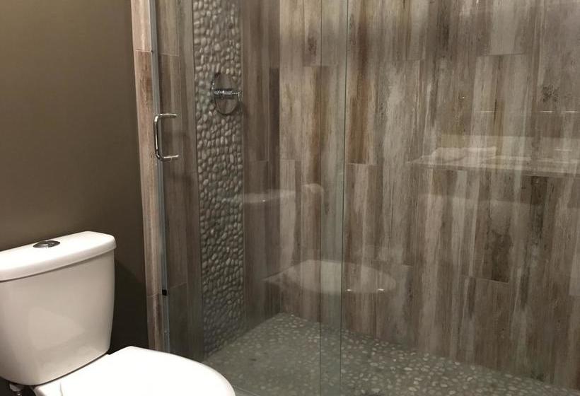 Fotos del hotel Del Sol, Boutique Phoenix Airport:  11