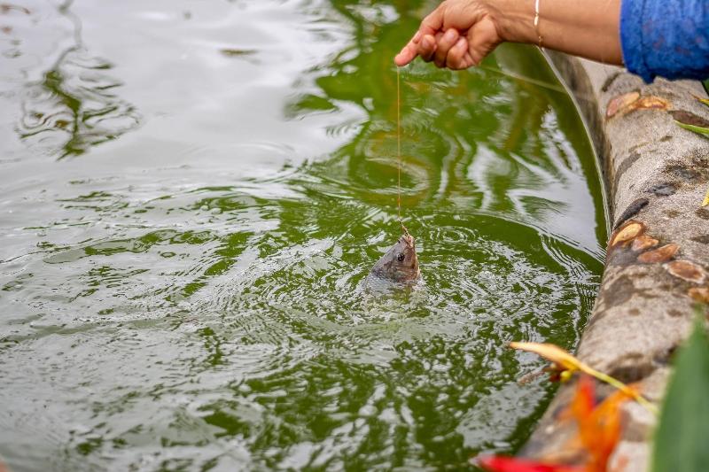 Fotos del hotel Aunty Arenal Lodge:  5