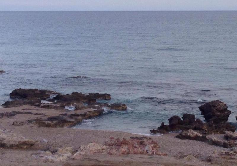 Fotos del hotel Antonios House:  5